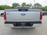 Used 2024 Ford F150 XLT image 6