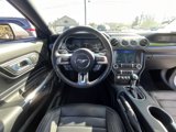 Used 2022 Ford Mustang Mach 1 w/ Equipment Group 700A image 4