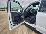New 2025 Ford F150 Lariat image 5