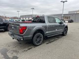 New 2025 Ford F150 XLT w/ Equipment Group 303A High image 5