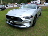 Used 2019 Ford Mustang Premium image 2