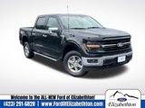 New 2025 Ford F150 XLT w/ Equipment Group 302A MID image 1