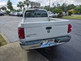 Used 2005 Dodge Dakota SLT w/ Skid Plate Group image 4