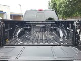 New 2025 Ford F150 Lightning Platinum image 5