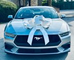 Used 2024 Ford Mustang Premium image 6