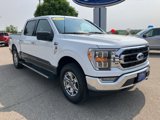 Certified 2022 Ford F150 XLT w/ Equipment Group 302A High image 2