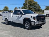 New 2025 GMC Sierra 2500 Pro w/ Convenience Package image 3