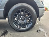 New 2025 Ford F150 STX w/ STX Black Appearance Package image 4