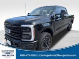 New 2025 Ford F250 Platinum image 4