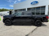New 2025 Ford F150 XLT w/ Equipment Group 302A MID image 4