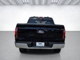 New 2025 Ford F150 Lariat w/ Equipment Group 501A Mid image 6