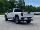 New 2025 GMC Sierra 2500 Denali w/ Denali Reserve Package image 6