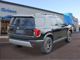 New 2026 Honda Passport RTL image 3