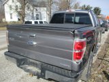 Used 2014 Ford F150 XLT w/ Equipment Group 302A Luxury image 4