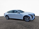 New 2026 Cadillac CT5 Premium Luxury image 2