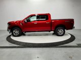 New 2025 Ford F150 XLT image 5