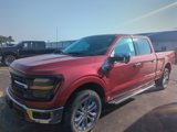 New 2024 Ford F150 XLT w/ Equipment Group 302A MID image 2