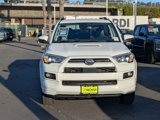 Used 2024 Toyota 4Runner TRD Sport image 2
