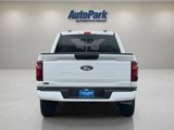 New 2025 Ford F150 STX w/ Equipment Group 200A image 5