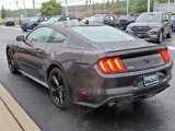 Certified 2022 Ford Mustang Premium w/ Equipment Group 201A image 5