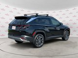 New 2025 Hyundai Tucson Limited image 3