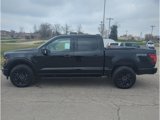New 2025 Ford F150 XLT w/ Equipment Group 302A MID image 4