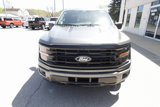 New 2025 Ford F150 XLT image 5