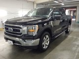 Used 2023 Ford F150 XLT w/ Equipment Group 302A High image 2