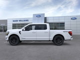 New 2025 Ford F150 Platinum w/ Equipment Group 702A High image 3