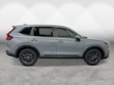 New 2026 Honda CR-V EX-L image 6