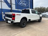 New 2025 Ford F250 Platinum image 6