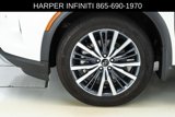 Used 2024 INFINITI QX60 Autograph w/ Cargo Package image 5