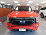 Certified 2022 Ford F150 XLT w/ Equipment Group 302A High image 3