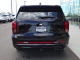 New 2025 Hyundai Palisade Calligraphy image 4