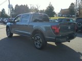New 2024 Ford F150 STX image 5