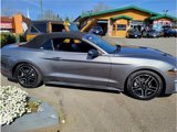 Used 2021 Ford Mustang Premium image 4