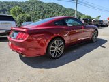 Used 2017 Ford Mustang GT w/ Enhanced Security Package image 3