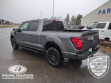 New 2025 Ford F150 XLT image 3