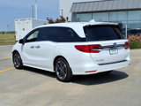 Used 2024 Honda Odyssey Elite image 3