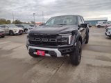 New 2025 Ford F150 Raptor image 2