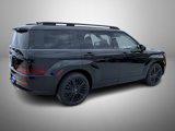 New 2025 Hyundai Santa Fe Calligraphy image 5