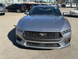 Used 2024 Ford Mustang Premium image 2