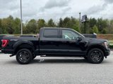 Used 2022 Ford F150 XLT w/ Equipment Group 302A High image 2