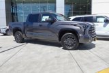 New 2025 Toyota Tundra Platinum image 6