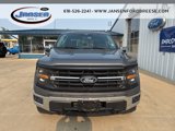 New 2025 Ford F150 XLT w/ Equipment Group 303A High image 2