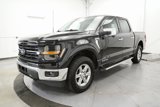 Used 2024 Ford F150 XLT w/ Equipment Group 302A MID image 3