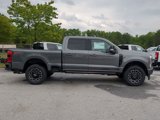 New 2025 Ford F250 Platinum image 3