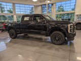 New 2025 Ford F250 Platinum image 3