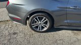 Used 2016 Ford Mustang Premium image 4