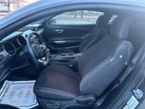 Used 2017 Ford Mustang GT image 4